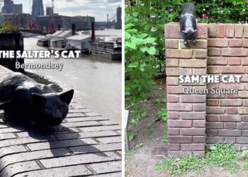 Londres pour les amoureux des chats Les 5 statues félines les plus attachantes à ne pas manquer
