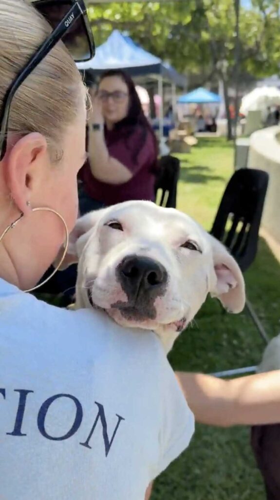 Abandonné sans un mot et ignoré lors d une adoption