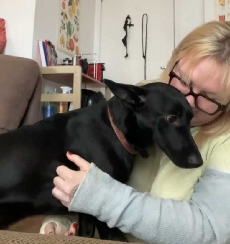 Une femme se demande pourquoi son chien de refuge ne comprend pas les ordres — puis elle réalise la vérité