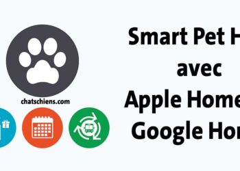 Maison connectée pour animaux Guide pratique pour créer un Smart Pet Hub avec Apple HomeKit et Google Home