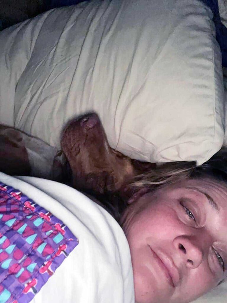 Un couple se réveille et trouve une petite chienne inconnue blottie dans son lit 4 Un couple se réveille et trouve une petite chienne inconnue blottie dans son lit