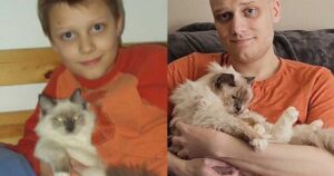 Un homme et son chat recréent une photo 20 ans après