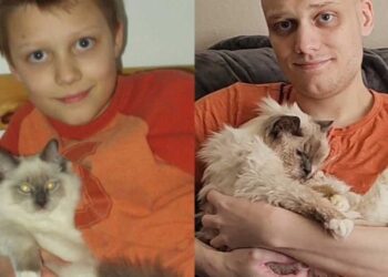 Un homme et son chat recréent une photo 20 ans après