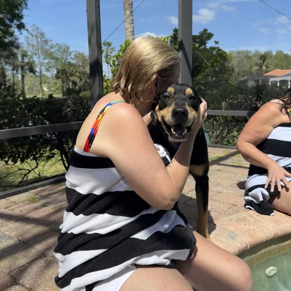 Un chien attend sa famille… mais personne ne vient : une scène bouleversante qui choque les refuges 4 Un chien attend sa famille… mais personne ne vient